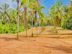 Land For Sale Homagama-Talagala