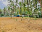 Land For Sale Homagama Talagala