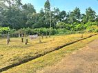 Land for Sale Homagama - Thalagala