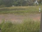 Land for Sale හෝමාගම තලගල