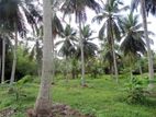 land for sale horagasmulla divulapitiya