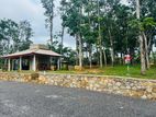 Land for Sale Horana Ballapitiya
