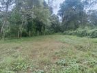Land for Sale Horana Dikhenapura