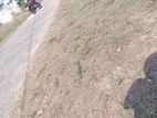 land for sale horana dikhenapura