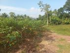 Land for Sale - Horana (EM375)