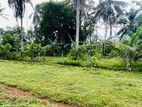 Land for Sale Horana