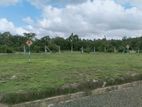 land for sale horana
