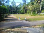 Land for sale Horana