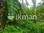 Land For Sale Horana