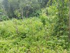 Land for Sale Horana