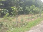 Land for Sale Horana