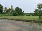 Land for Sale Horana