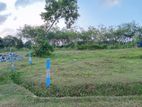 Land for Sale Horana