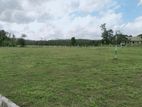 Land for Sale Horana