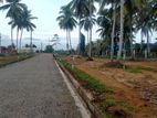 land for sale horana