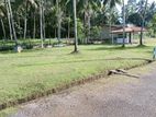 Land for Sale Horana