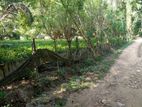 Land for Sale - Horana