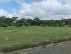 Land for Sale Horana