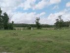 Land for Sale Horana