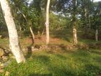 Land for Sale Horana