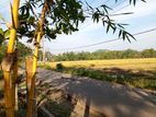 Land for Sale Horana