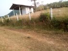 Land for Sale Horana