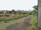 land for sale horana