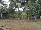 Land for Sale Horana