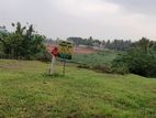 Land for Sale Horana