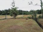 Land for Sale Horana