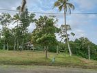 Land for Sale Horana