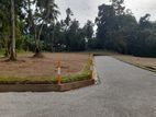 Land for sale Horana