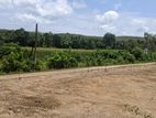 Land for Sale Horana