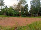 Land for Sale Horana