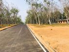 Land for Sale Horana