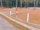Land for Sale Horana