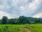 Land for Sale Horana
