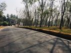 land for sale horana