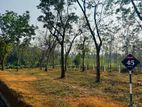 Land for Sale Horana