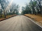 Land for Sale - Horana