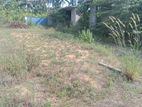 land for sale horana