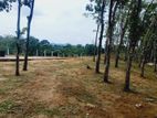 land for sale horana
