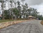 Land for Sale Horana