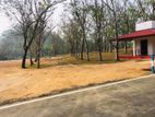 Land for Sale Horana