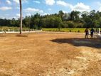 Land for Sale Horana
