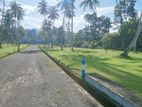 Land for Sale Horana