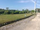 Land for Sale, Horana Moragahahena Road