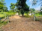 Land | For Sale Horana - Reference L3327