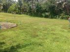 Land for Sale හොරණ උසාවි පාරෙන්