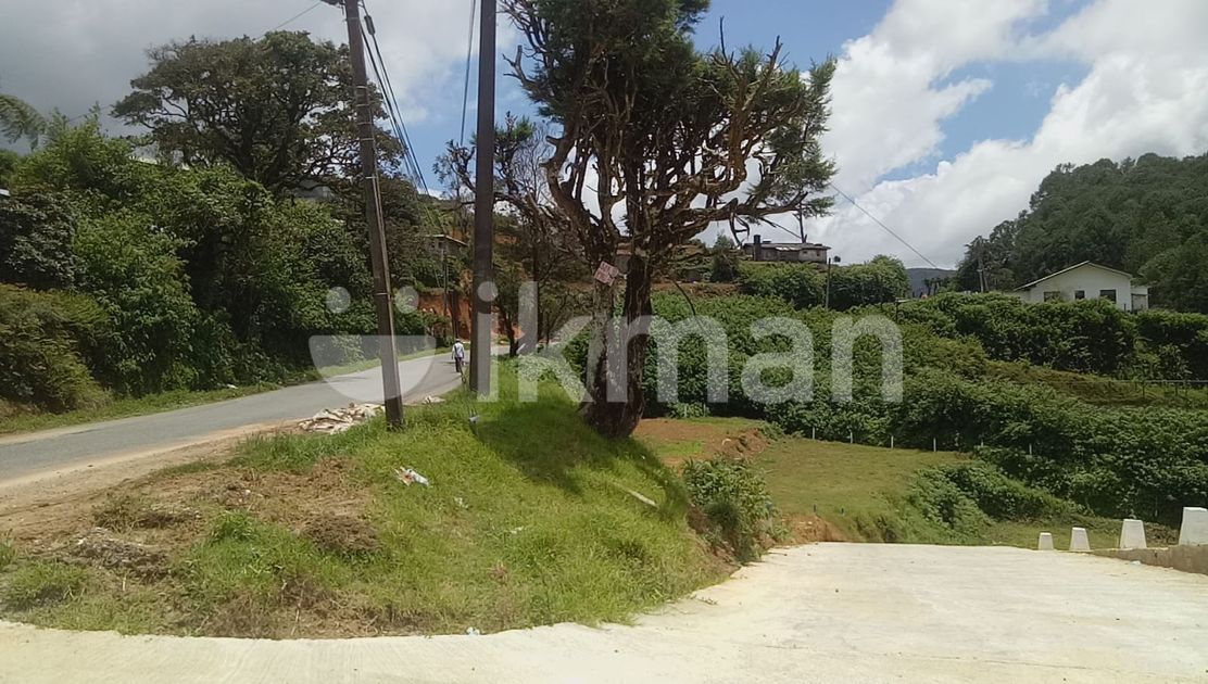 Land for Sale Horton Plains Road Nuwara Eliya ikman